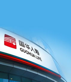 上海vi設計公司 logo設計 品牌設計公司慧目堂