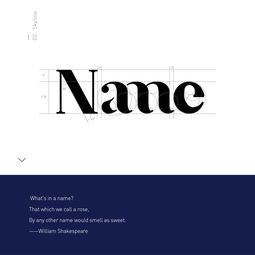 name原創(chuàng)品牌視覺形象設計 一