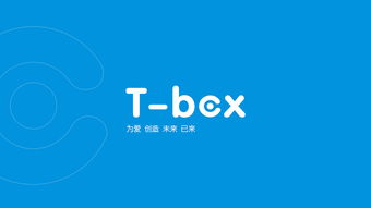 t box產品 品牌形象插畫 vi設計 包裝 平面 品牌 mr斑馬 zcool