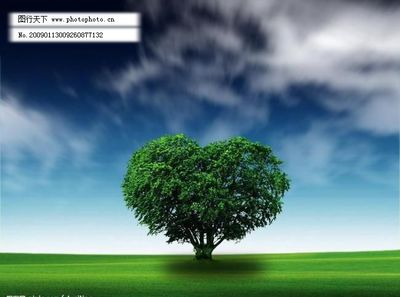 騎行無憂，愛心隨行——自行車修理公益廣告