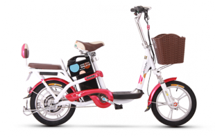 愛瑪米樂電動自行車產品信息概覽 價格與制造商解析